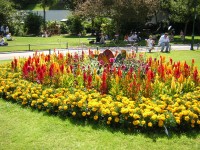 Bournemouth gardens